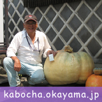 kabocha.okayama.jp