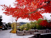 大原美術館前　今橋